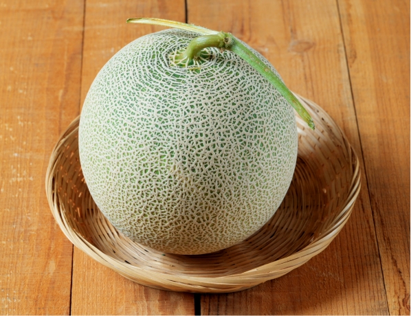 メロン
